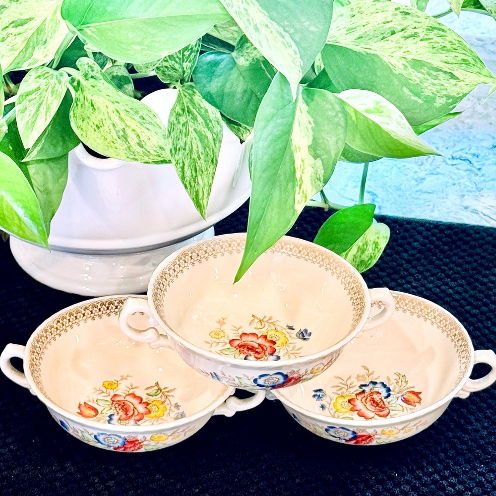 Vintage Crown Ducal Peever Cream Soup Bowls Set of 3 Hand Colored England Floral
